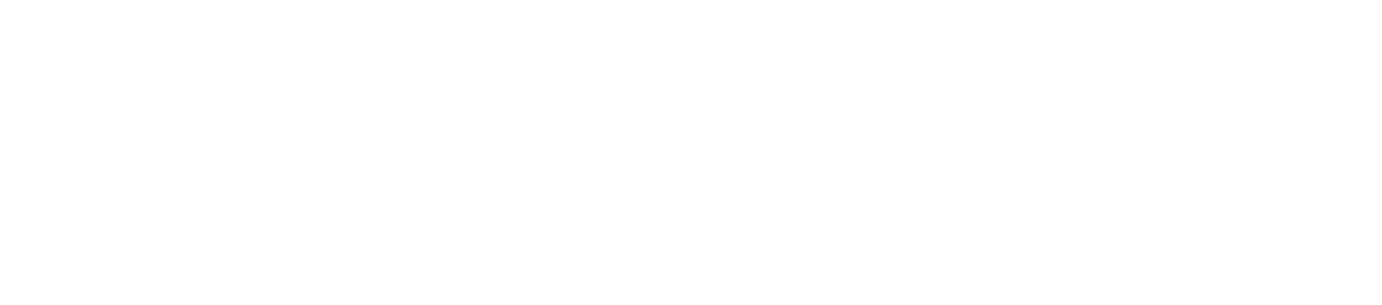 erz4p erz4p